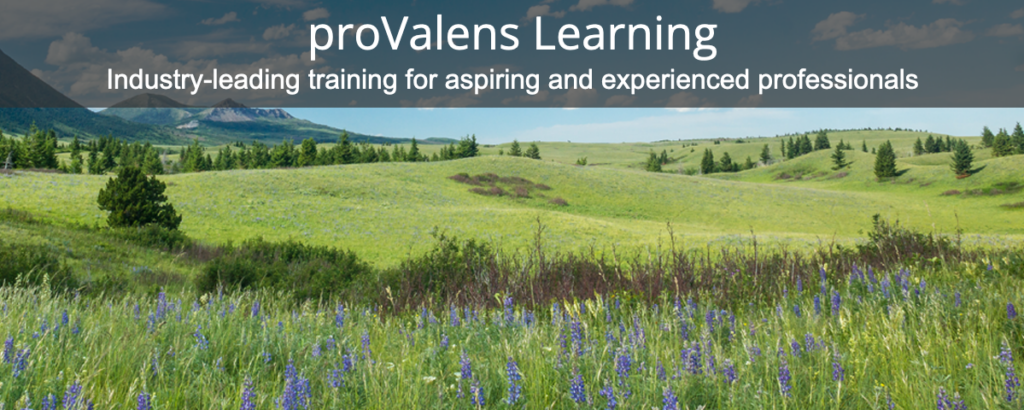 Sunny, mountain field with the tagline: proValens Learning: Industry-leading training for aspiring and experienced professionals