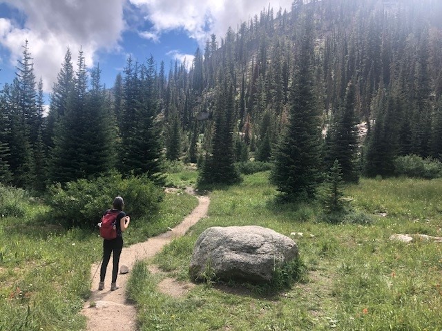 A backpacker hiking on a wilderness trail