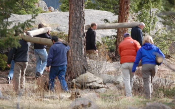 A group of park workers carrying logs in a wooded area